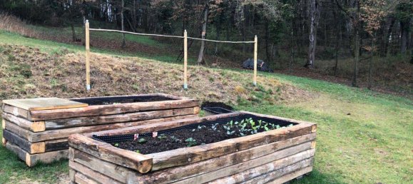 7 rooms House in Rotenturm an der Pinka, Austria No. 213611 31