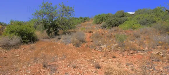 Grundstück in Faro, Portugal, Nr. 83218 14