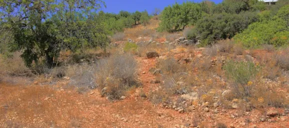 Grundstück in Faro, Portugal, Nr. 83218 12