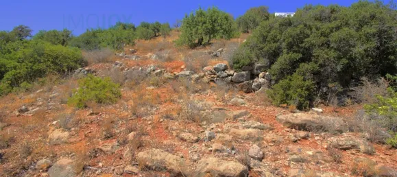 Grundstück in Faro, Portugal, Nr. 83218 13