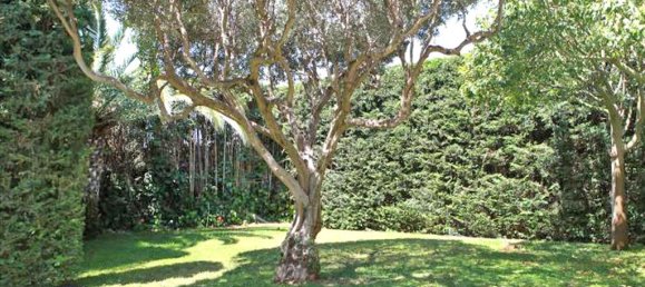 4 bedrooms Villa in Palaia Fokaia, Greece No. 7205 8