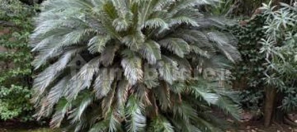 1 Schlafzimmer Wohnung in Florence, Italy, Nr. 362365 4