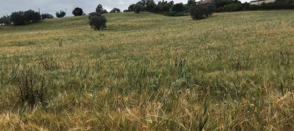 Terrain à Teramo, Italy 1000m² No. 279691 2