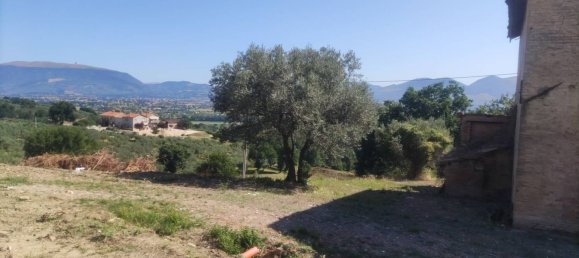 3 rooms House in Montefalco, Italy No. 257523 27