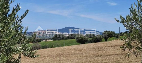 5 chambres Maison à Osimo, Italy No. 273676 21