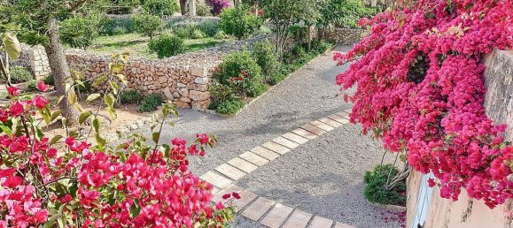 14 bedrooms Villa in Llucmajor, Spain No. 182303 41