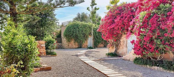 14 bedrooms Villa in Llucmajor, Spain No. 182303 43