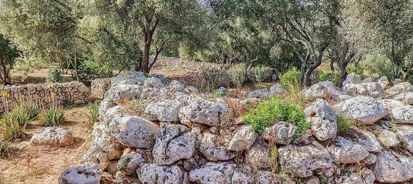 14 bedrooms Villa in Llucmajor, Spain No. 182303 46