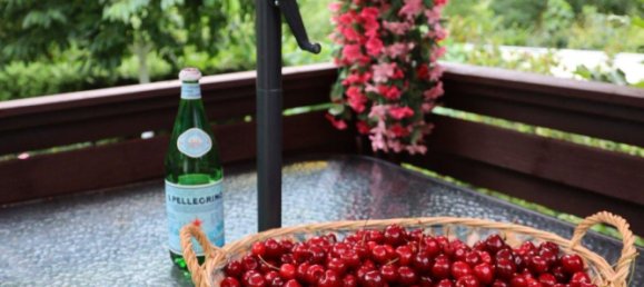 Grundstück in Altenburger Land, Germany, Nr. 267427 11