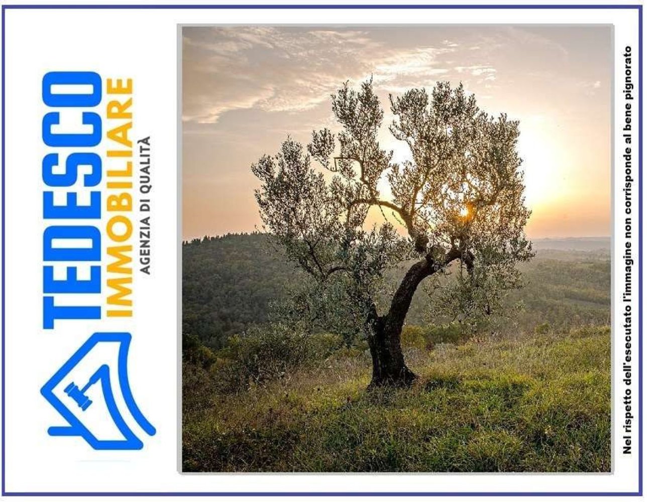  Land in Calvi, Italy No. 385562