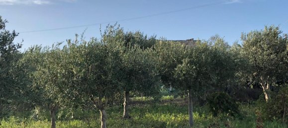 2 rooms House in Trapani, Italy No. 256343 7