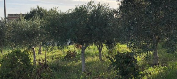 2 rooms House in Trapani, Italy No. 256343 6