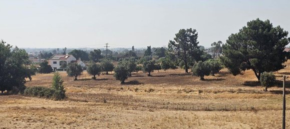 2 bedrooms Apartment in Pinhal Novo, Portugal No. 236856 2