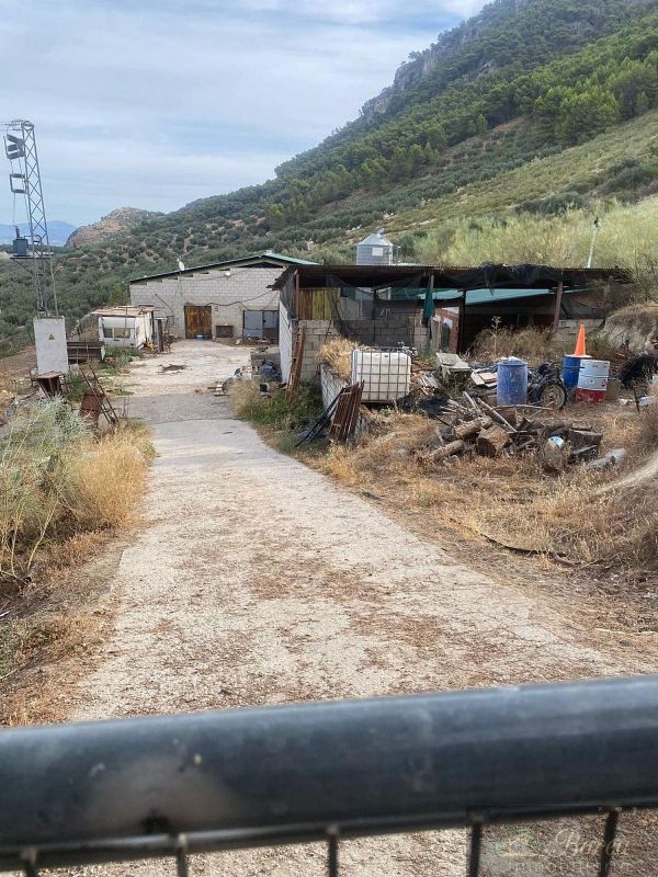 3 غرف نوم مستودع في Rute, Spain رقم 227061