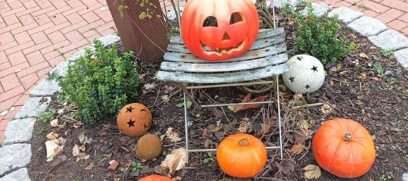 Ферма с 5 спальнями в Diepholz, Германия № 223816 21