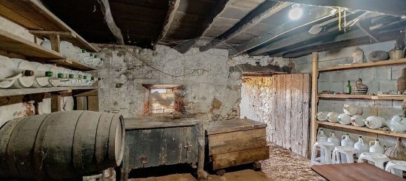 3 chambres Maison à Penacova, Portugal No. 160548 32