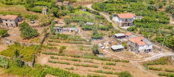 3 bedrooms Castles in Baiao, Portugal No. 182570 17