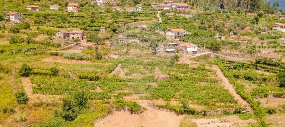 3 bedrooms Castles in Baiao, Portugal No. 182570 16