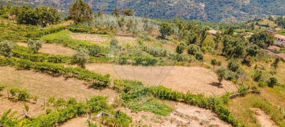 3 bedrooms Castles in Baiao, Portugal No. 182570 22