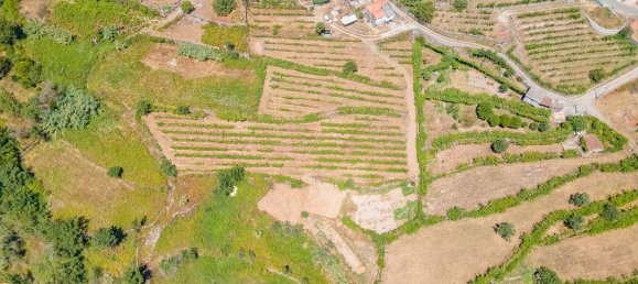 3 bedrooms Castles in Baiao, Portugal No. 182570 15