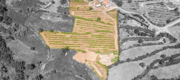 3 bedrooms Castles in Baiao, Portugal No. 182570 24