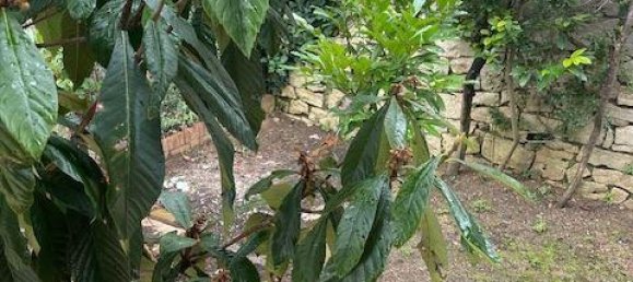 5 rooms Apartment in Monteriggioni, Italy No. 79030 2