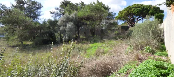 4520m² Land in Cascais, Portugal No. 119167 4