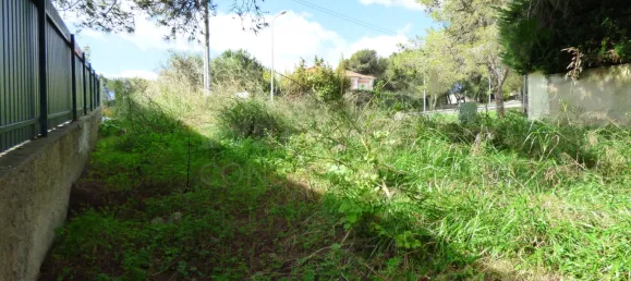 4520m² Land in Cascais, Portugal No. 119167 6