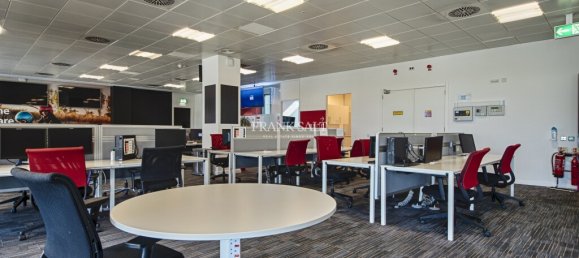  مكتب في Luqa, Malta 1040متر مربع رقم 12282 8