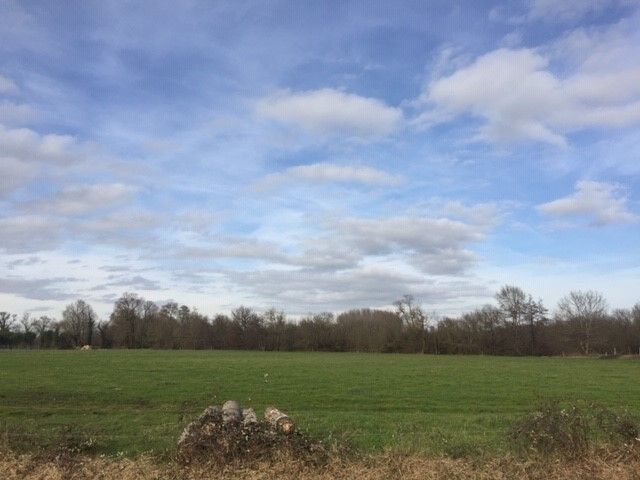  Land in Etauliers, France No. 111922