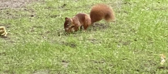 16-Zimmer Gebäude in Dortmund, Germany, Nr. 219196 22