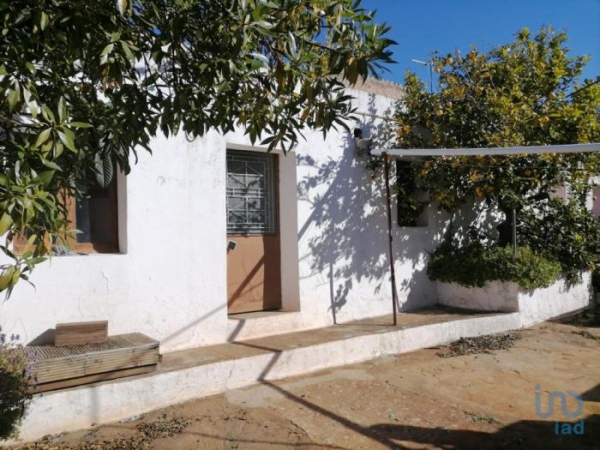 2 bedrooms House in Loule, Portugal No. 197