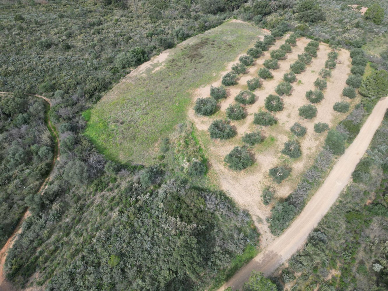 413m² Land in Garriguella, Spain No. 233182