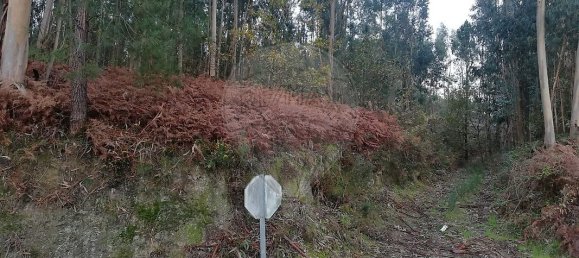 5 bedrooms House in Meinedo, Portugal No. 25123 14