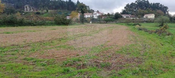 5 bedrooms House in Meinedo, Portugal No. 25123 13