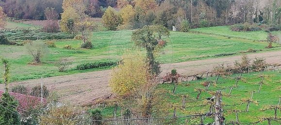 5 bedrooms House in Meinedo, Portugal No. 25123 17