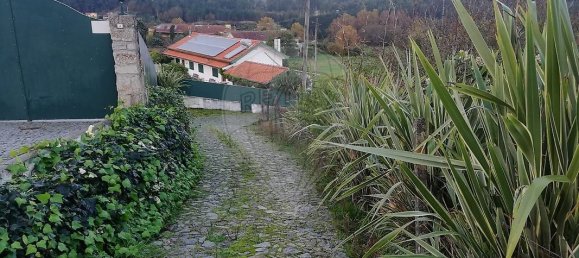 5 bedrooms House in Meinedo, Portugal No. 25123 8