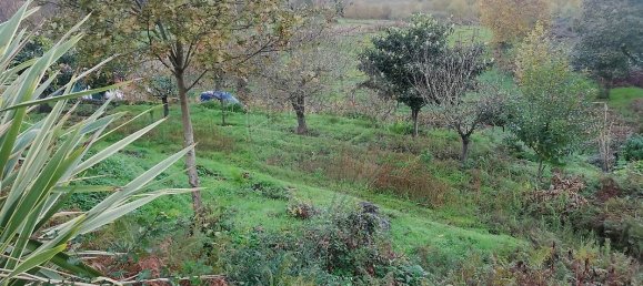 5 bedrooms House in Meinedo, Portugal No. 25123 11