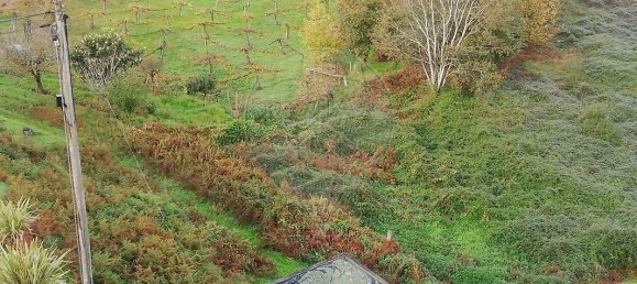 5 bedrooms House in Meinedo, Portugal No. 25123 6