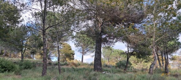  Land in Barcelona, Spain No. 170704 3