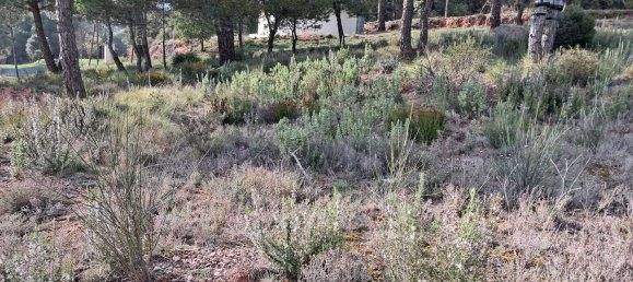  Land in Barcelona, Spain No. 170704 6