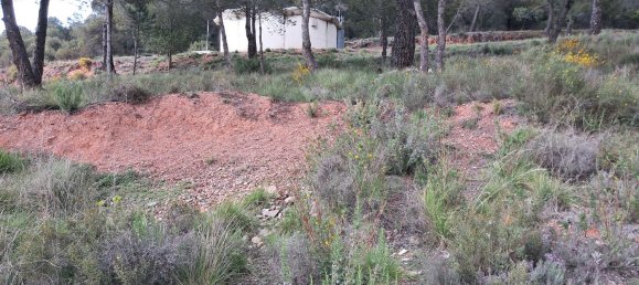  Land in Barcelona, Spain No. 170704 2