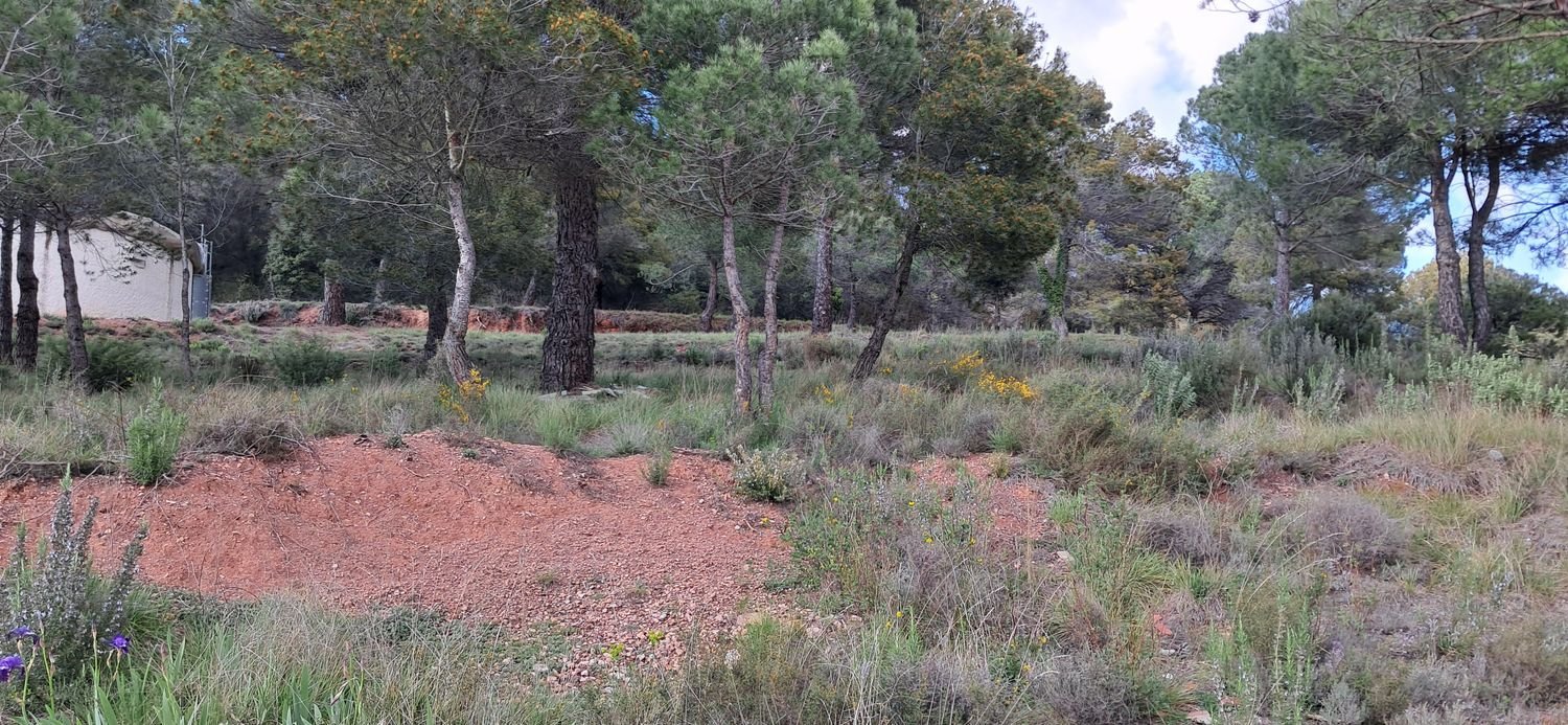  Land in Barcelona, Spain No. 170704