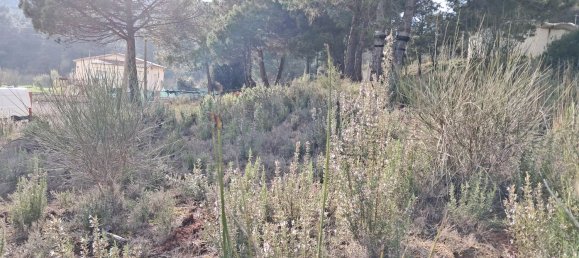  Land in Barcelona, Spain No. 170704 7