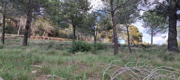  Land in Barcelona, Spain No. 170704 4