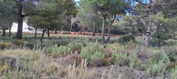  Land in Barcelona, Spain No. 170704 5