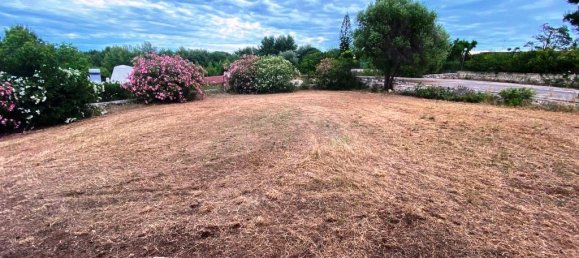 Вилла с 6 комнатами в Полиньяно а Маре, Италия № 114370 10