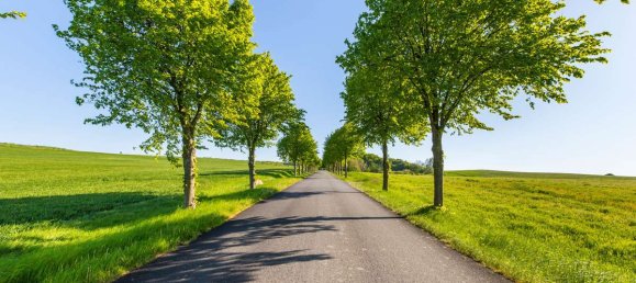 5 غرف نوم تاون هاوس في Vorpommern-Rugen, Germany رقم 235576 21