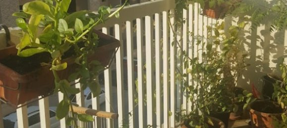 1 bedroom Apartment in Jumeirah Village Circle, UAE No. 10305 9