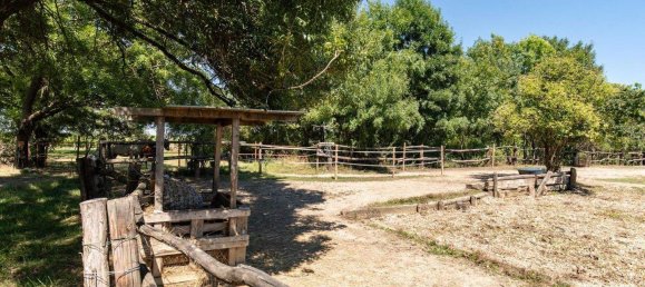 Terreno en Neusiedl am See, Austria No. 226363 11